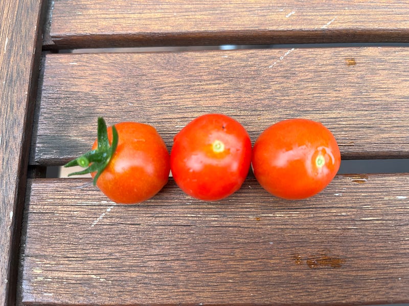 Three cherry tomatoes symbolizing joy