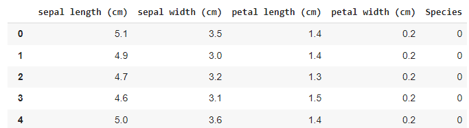 First four rows of the Iris data set