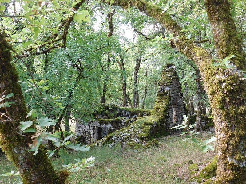 Author reflecting in nature