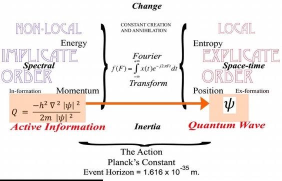 Diagram illustrating holographic consciousness theory