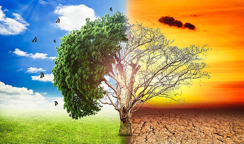 Future implications of climate change