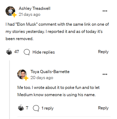 Fake Elon Musk comment