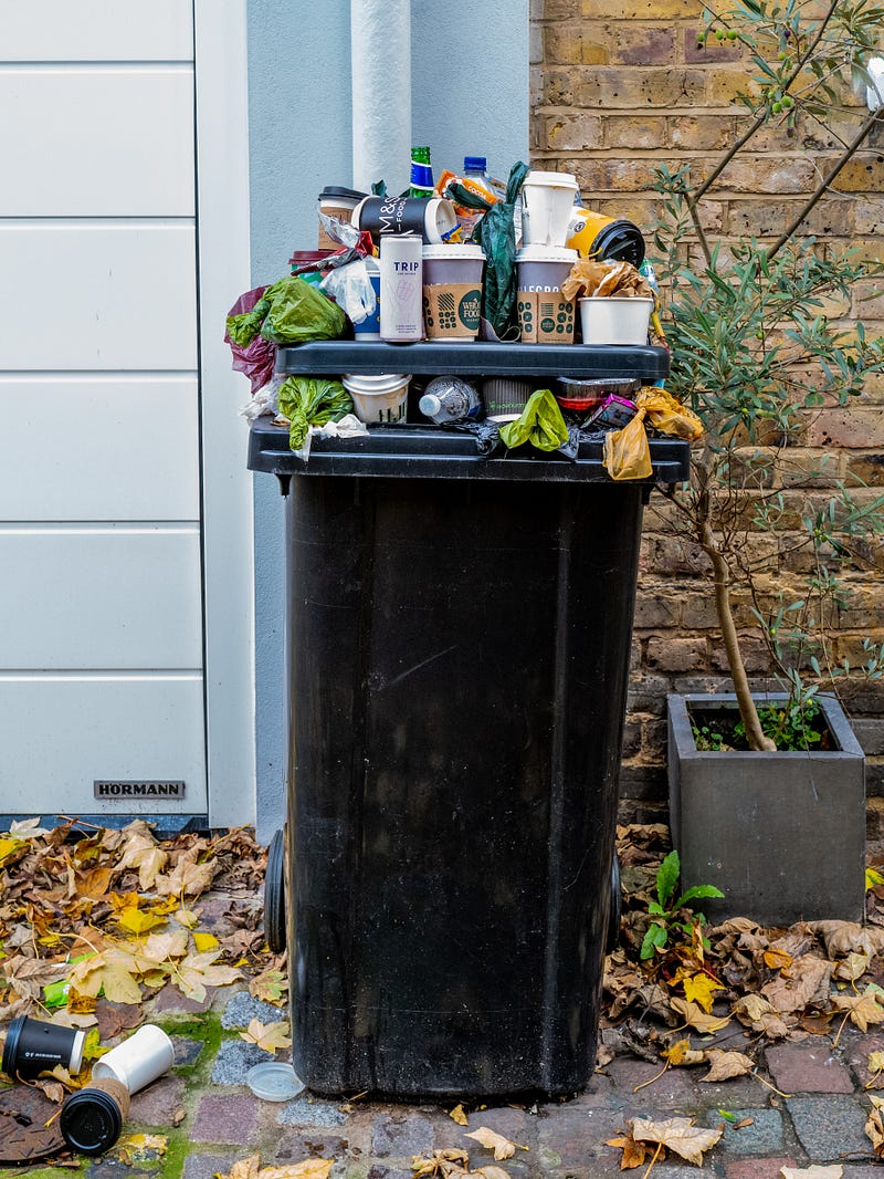 Clean trash bins for a healthier environment