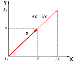 Eigenvector and Eigenvalue Representation