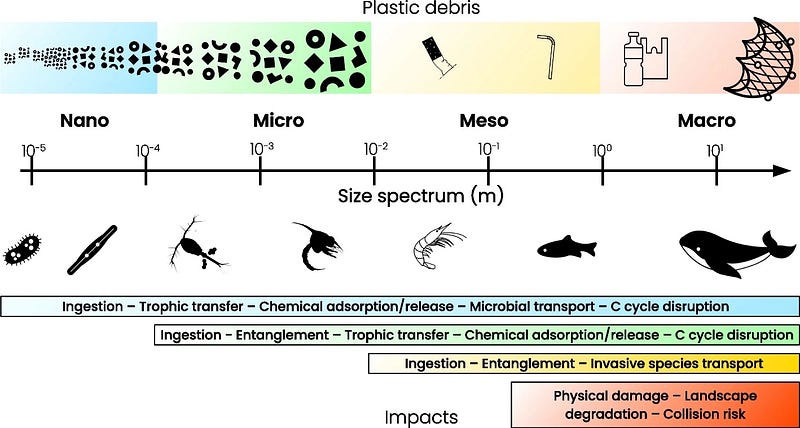 Plastic pollution in marine environments