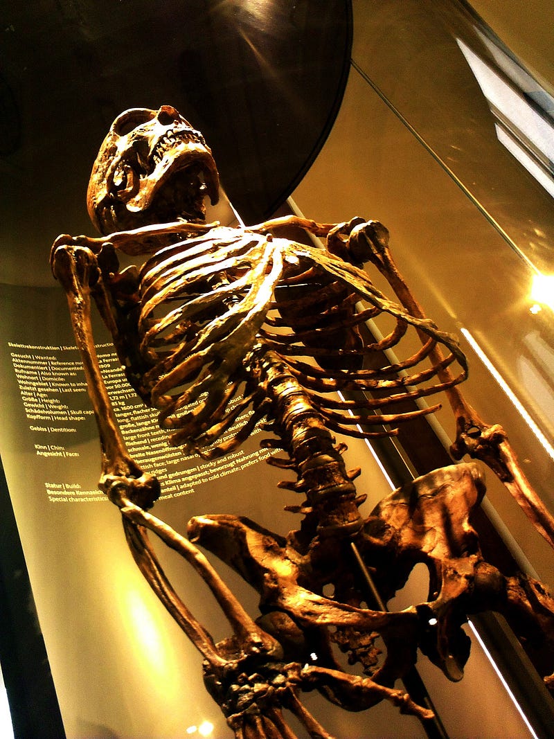 Human vs Neanderthal protein structure