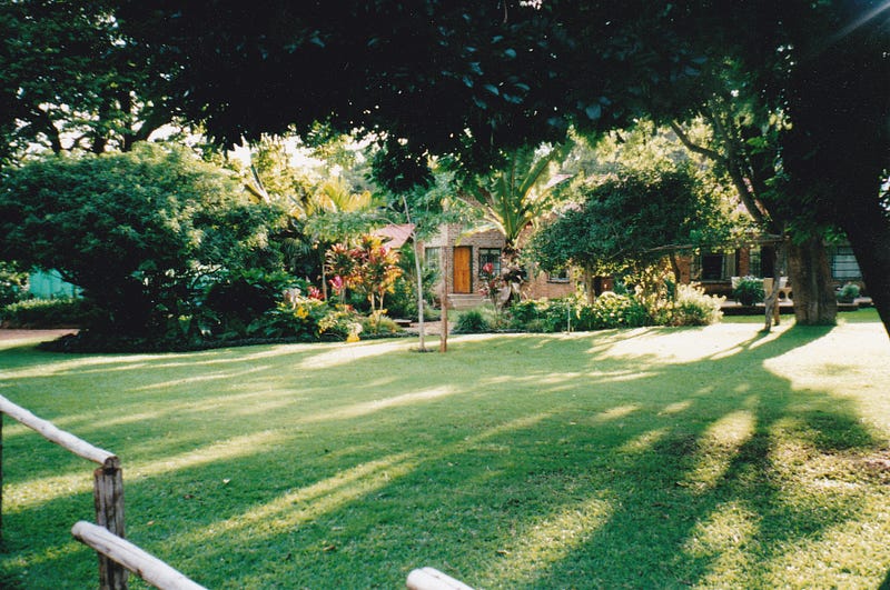 A lush garden in Zimbabwe.