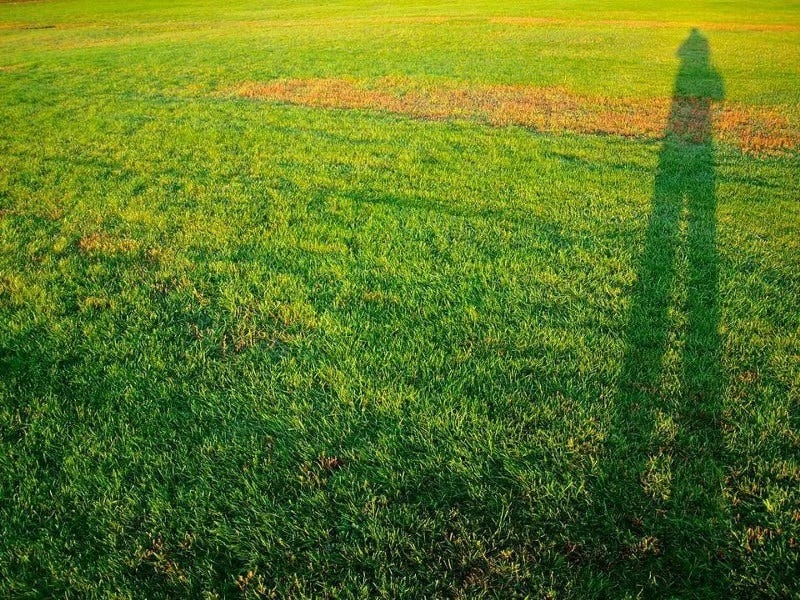 Sunlight scattering effects on cloudy days