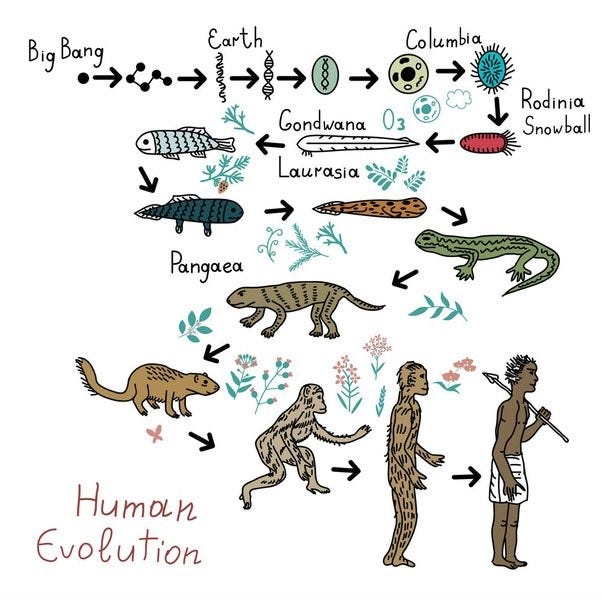 The scientific evidence supporting evolution and human origins.