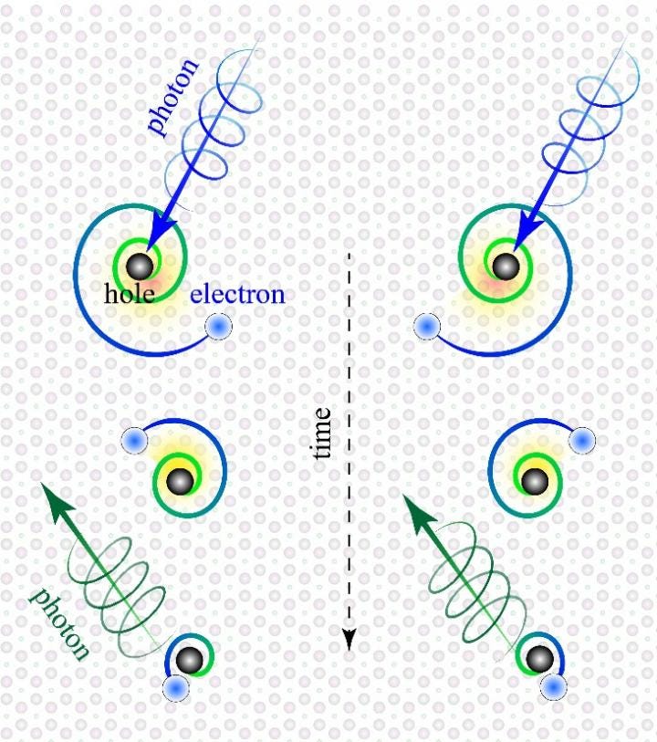 Chiral surface excitons demonstrating right and left-handed light interactions