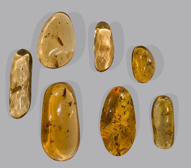 Close-up view of amber with inclusions