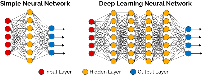 Overview of neural network architecture