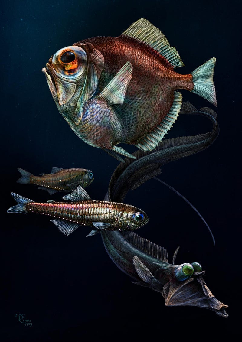 Illustration of deep-sea fish with enhanced vision