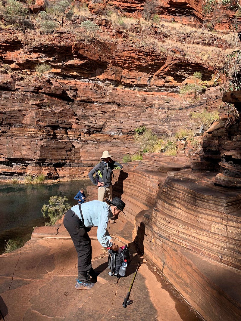 Clear bands of iron oxide and silt in Dales Gorge