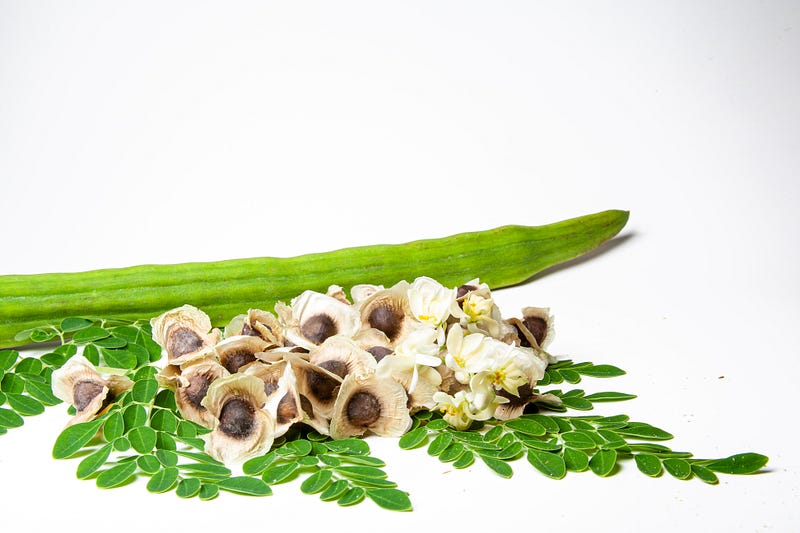 Moringa Tree