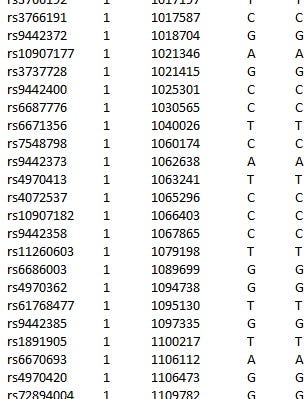 Example of a raw DNA file from an ancestry test.